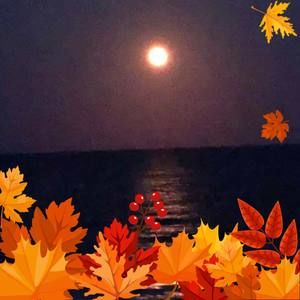 Meet your Posher, Rita